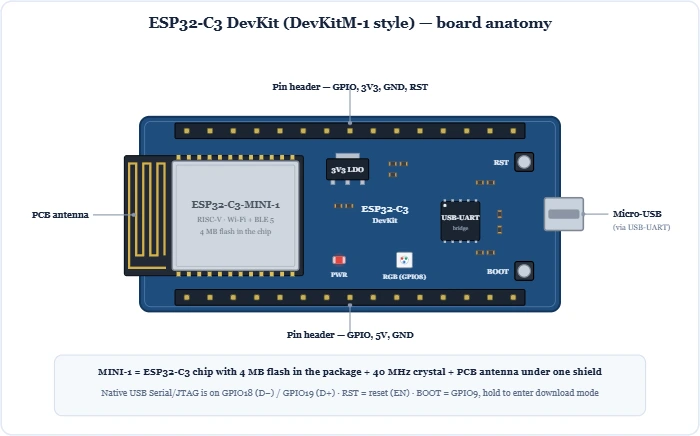 ESP32-C3 DevKit board anatomy showing the ESP32-C3-MINI-1 module, PCB antenna, USB-UART bridge, 3.3 V LDO, BOOT and RST buttons and RGB LED on GPIO8 – Topics | Power4All